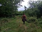 IMG_20230729_183905497_MFNR