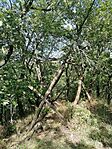IMG_20230731_153813
