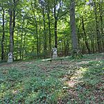 361859724_320516743742064_1982940931866554148_n