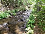 IMG_20230712_131638_HDR