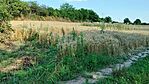 IMG20230716174702