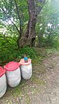 IMG_20230712_131009.jpg