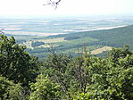 P1010062