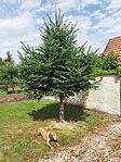 IMG_20230713_095956