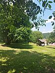 IMG_20230715_131234