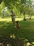 IMG_20230715_131352
