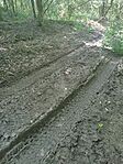 IMG_20230715_105146