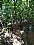IMG_20230722_125729_1