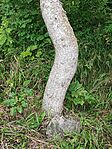 IMG_20230819_213024