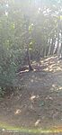 IMG_20230820_124252