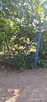 IMG_20230820_124258