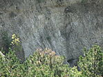 DSC08207