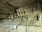 IMG_2082
