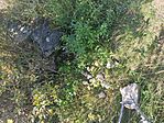 IMG_20230821_111720