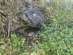 IMG_20230821_111726