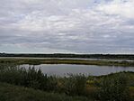 IMG_20230728_131622