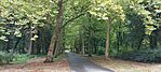 park