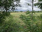 IMG_7537