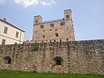 IMG_20230805_124356.jpg