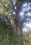 IMG_20230818_152903