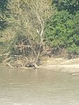 IMG_20230818_153511