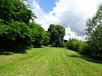 DSC01538