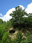 DSC01550