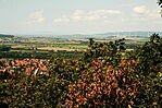 IMG_9851