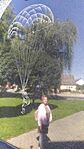 IMG_20230810_105227