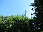 IMG_2733