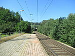 IMG_2755