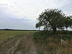 IMG_8350