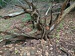 IMG_20230805_142812669_MFNR