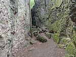 IMG_20230803_131808427_MFNR