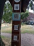 IMG_20230803_135434874_MFNR
