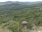 IMG_20230803_141218293_MFNR