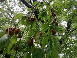 IMG_20230803_141754152_HDR