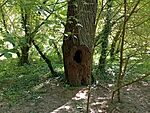 IMG_20230824_143708237_MFNR