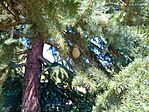 IMG_20230821_112700