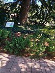 IMG_20230821_112741