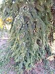 IMG_20230821_112825