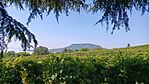 IMG_20230821_114807