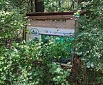 IMG_20230820_115235.jpg