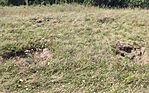 IMG_20230820_115208.jpg