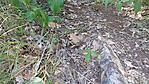 vlcsnap-2023-08-08-21h38m30s814
