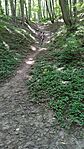 IMG_20230811_122443.jpg