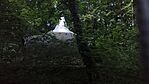 IMG_20230812_200908.jpg