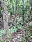 IMG_20230809_155348