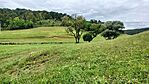 IMG20230809143343