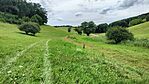 IMG20230809143851